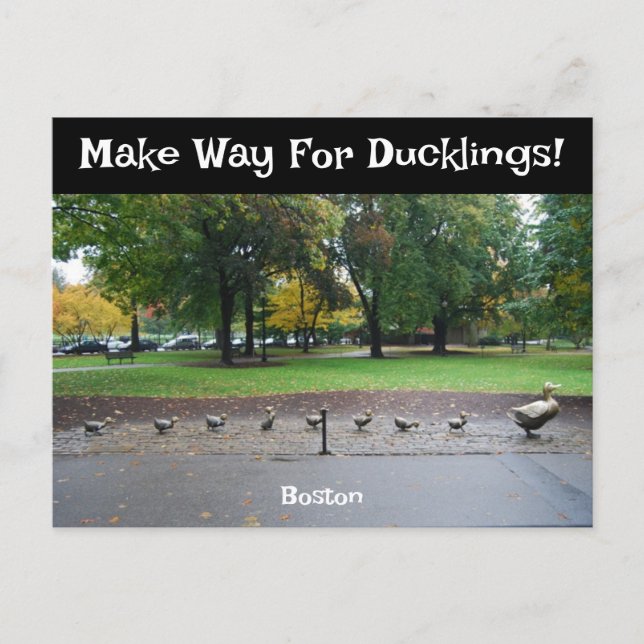 Cartão Postal Para Ducklings (Frente)