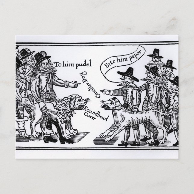 Cartão Postal Para Ele Pudel, Morda-O. (Frente)