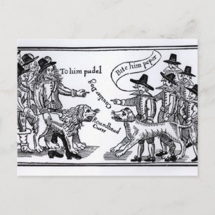 Cartão Postal Para Ele Pudel, Morda-O.