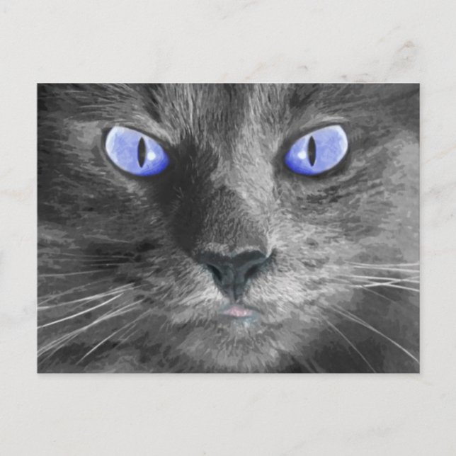Cartão postal para gatos místicos (Frente)