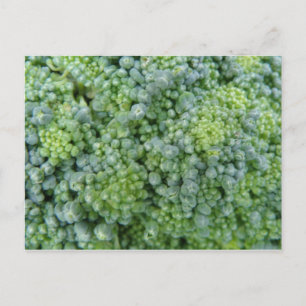 Cartão postal para Macro Broccoli