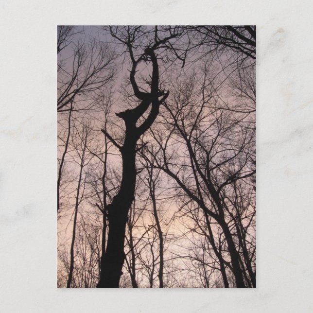 Cartão Postal para o céu (Frente)