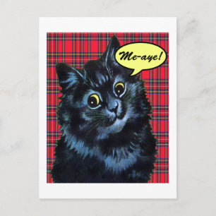 Cartão postal para o Gato de Independência Escoc