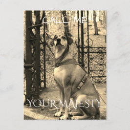 Cartão postal para os amantes de cães com texto e