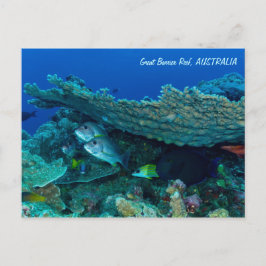 Cartão postal para peixes tropicais do mar de cora