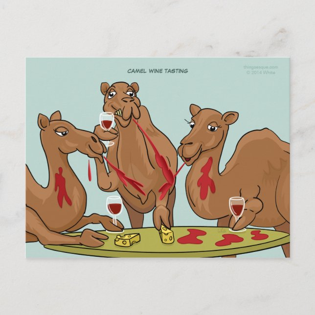 Cartão postal para Provando de Camel Wine (Frente)