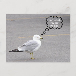 Cartão Postal Para que lado?