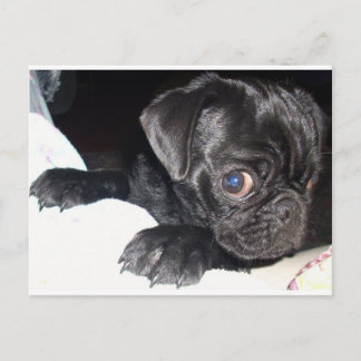 Cartão Postal Para quem você está olhando?