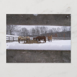 Cartão postal para refeição de inverno