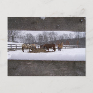 Cartão postal para refeição de inverno