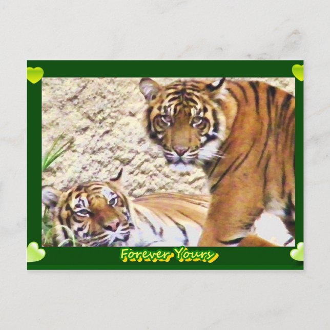 Cartão Postal Para sempre seu_ (Frente)