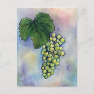 Cartão postal para Uvas de Vinho Chardonnay