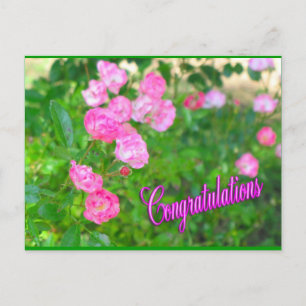 Cartão Postal parabéns