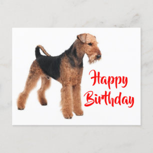 Cartão Postal Parabéns Airedale Terrier Puppy Dog