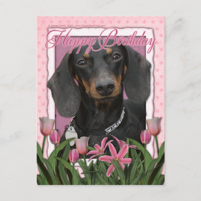 Cartão Postal Parabéns - Dachshund - Winston (Frente)