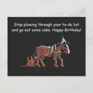 Cartão Postal Parabéns Divertidos para Cavalo Arador
