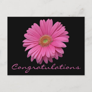 Cartão Postal Parabéns Flor de Gerbera Rosa Cravo Preto