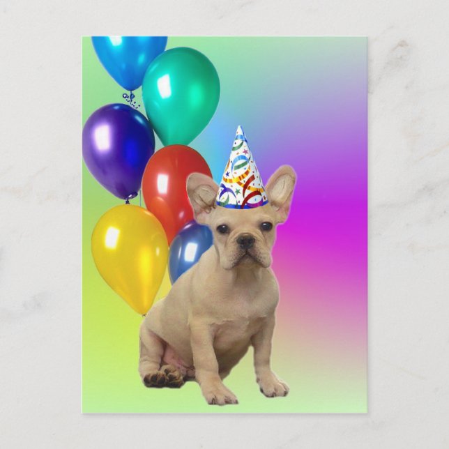 Cartão Postal Parabéns Francês Buldogue (Frente)