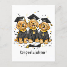 Parabéns Graduação Cachorros Goldendoodle