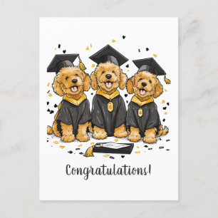 Cartão Postal Parabéns Graduação Cachorros Goldendoodle