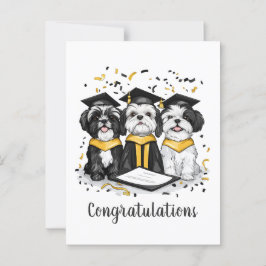 Cartão Postal Parabéns Graduação Shih Tzu Cachorros