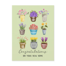 Parabéns Nova Casa Lindas Plantas de Vaso