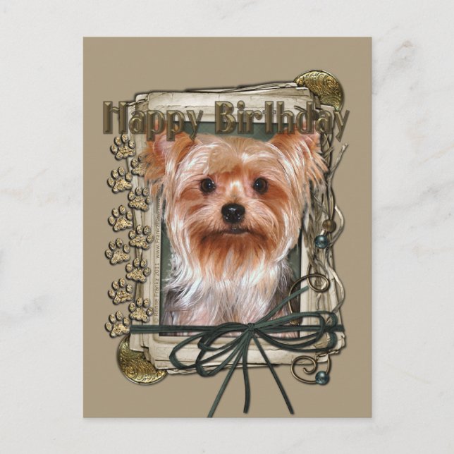 Cartão Postal Parabéns - Pedras Pedras - Yorkshire Terrier (Frente)