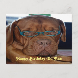 Cartão Postal Parabéns pelo aniversário impressão de cachorro ve