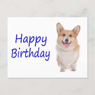 Cartão Postal Parabéns Pembroke Corgi Puppy Dog Cartão-Postal