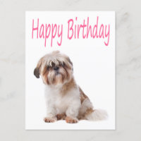 Parabéns Shih Tzu Puppy Postcard