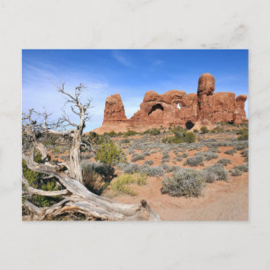 Cartão Postal Parada de Elefantes no Parque Nacional de Arches