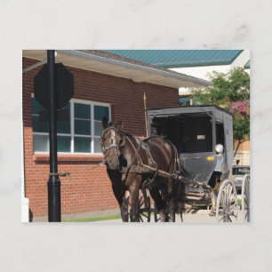 Cartão Postal Parado para um Espelho, Um Cavalo Amitivo no sinal