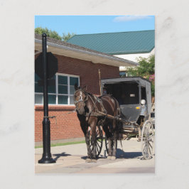 Cartão Postal Parado para um Espelho, Um Cavalo Amitivo no sinal