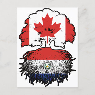 Cartão Postal Paraguai paraguaio do Canadá Raízes de Árvore do C