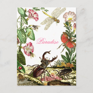 Cartão Postal Paraíso