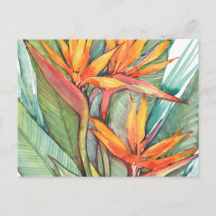 Cartão Postal Paraíso Botânico Tropical II