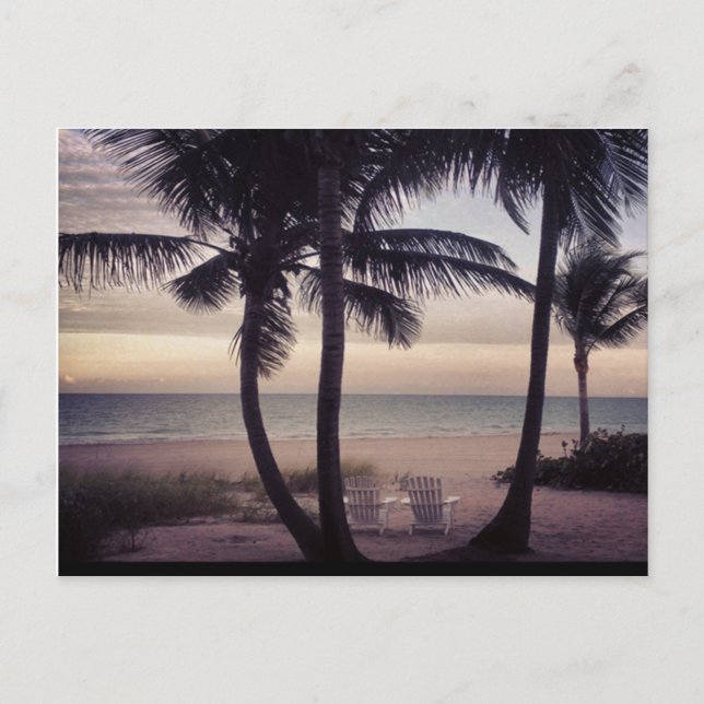 Cartão Postal Paraíso do Catador de Conchas (Frente)