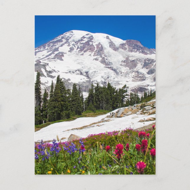 Cartão Postal Paraíso Mt. Rainer (Frente)