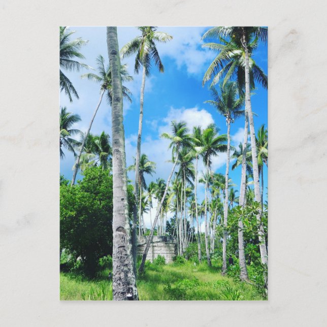 Cartão Postal Paraíso no Pacífico (Frente)