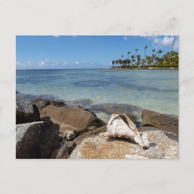 Cartão Postal Paraíso Tropical (Frente)