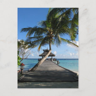 Cartão Postal Paraíso tropical - O melhor dia de 12 de dezembro