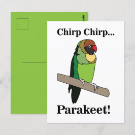Cartão Postal Parakeet Bird