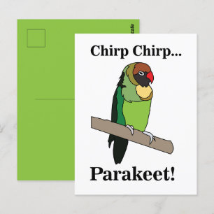 Cartão Postal Parakeet Bird