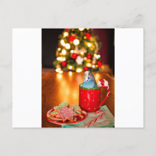 Cartão Postal Parakeet Christmas