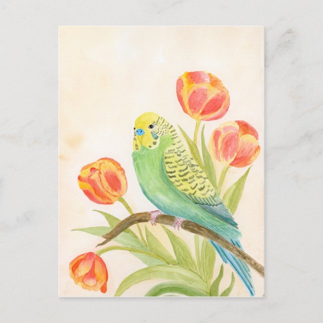 Cartão Postal Parakeet with Tulips  (Frente)