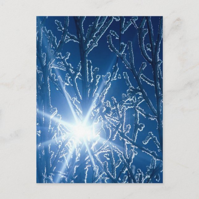 Cartão Postal Parando por Woods numa noite de neve (Frente)