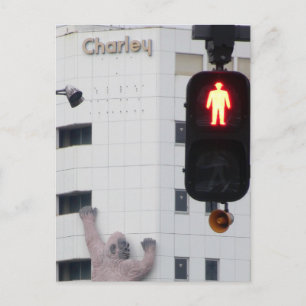 Cartão Postal Parar Há um gorila na parede!