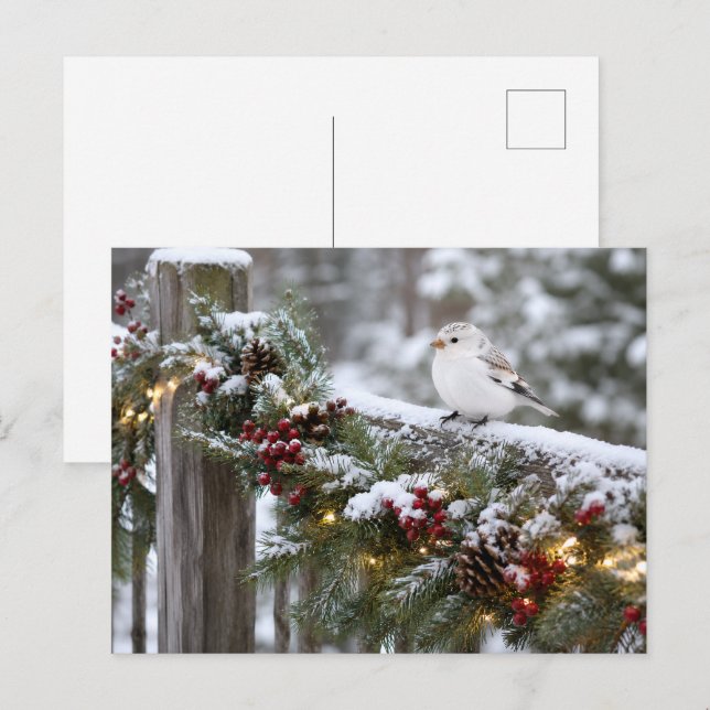 Cartão Postal Pardal-da-neve de Natal de Inverno  (Frente/Verso)