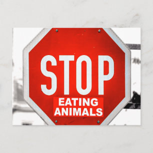 Cartão Postal Pare de Comer Animais Vegetariano Vegano
