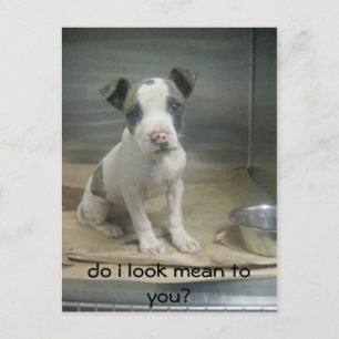 Cartão Postal Pareço má para ti?